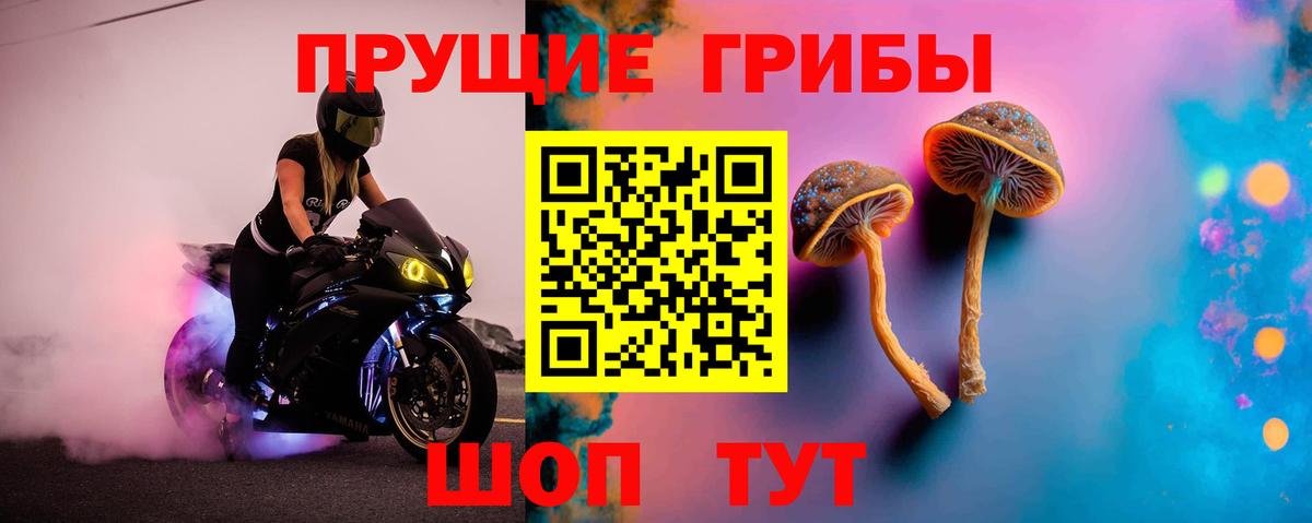 Псилоцибиновые грибы MAGIC MUSHROOMS  Вход с VPN  Тимашёвск 